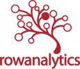 RowAnalytics Ltd